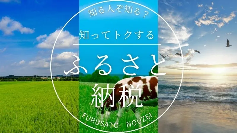 ふるさと納税はワンストップか、確定申告か?